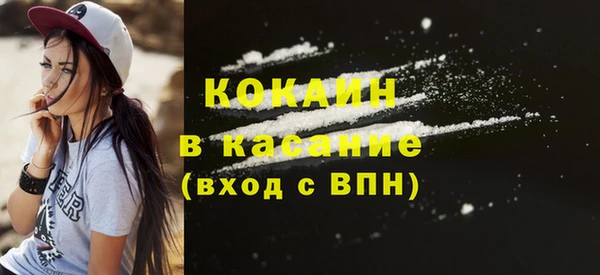 спиды Богданович
