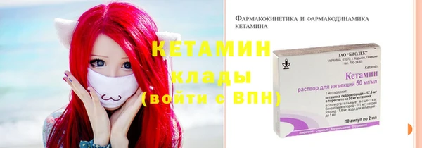 спиды Богданович