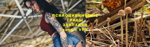 спиды Богданович