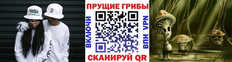 Псилоцибиновые грибы Magic Shrooms  Купить закладки  Рыбное 