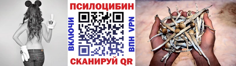 Галлюциногенные грибы мицелий Рыбное